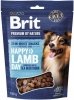 BRIT PREMIUM DOG SNACK LAMB WITH SEABUCKTHORN 180g 