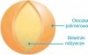 Zestaw Nawozów Barfertile Start, Universal, Regeneration Barenbrug 3 x 5kg