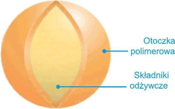 Zestaw Nawozów Barfertile Start, Universal, Regeneration Barenbrug 3 x 5kg