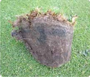 Nawóz do Trawy Uniwersalny BarFertile Universal Barenbrug 25kg