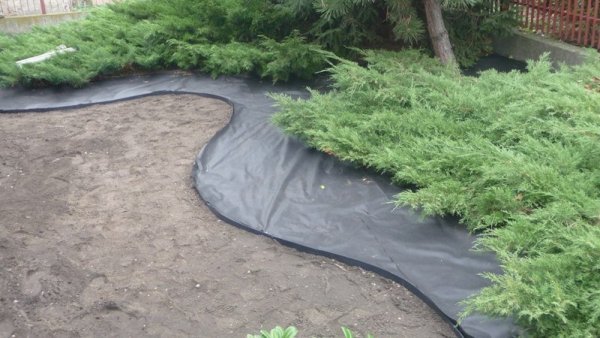 Agrowłóknina Czarna P-100 UV 1,6m x 20mb GF Agro
