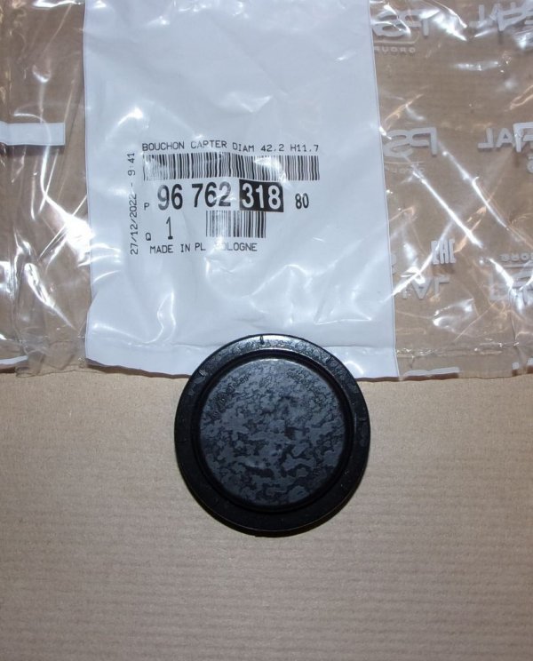 Bouchon de bloc moteur Citroën Berlingo 1.2 VTI, 9676231880, 9676231880,