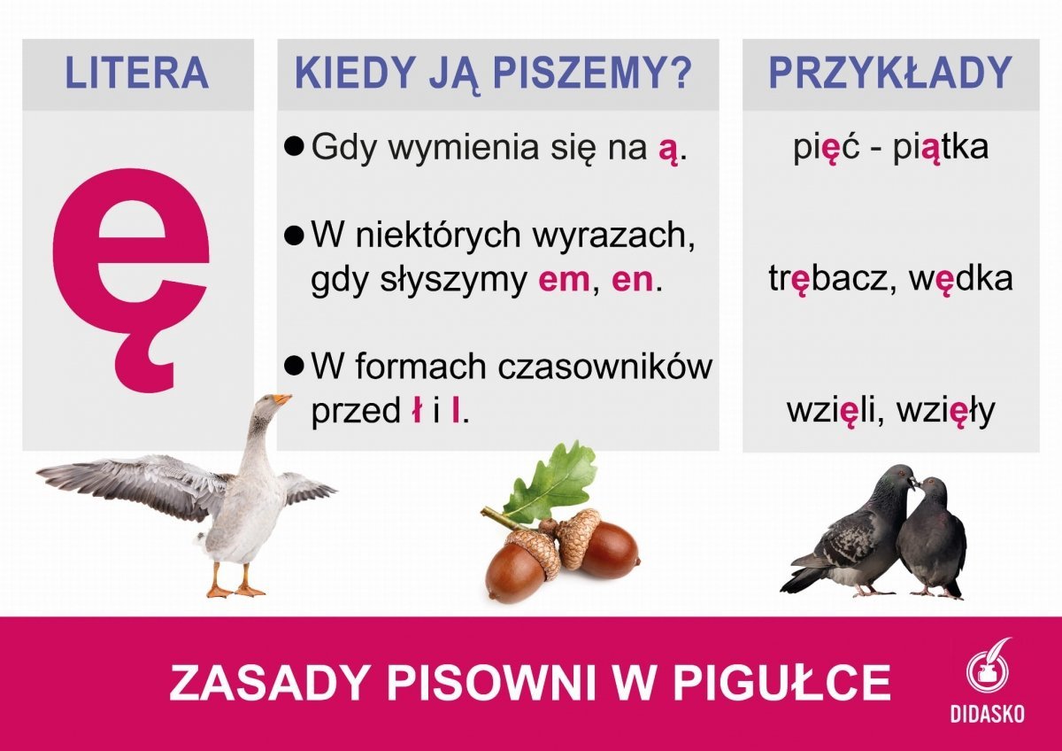 Plansze POLONISTYCZNE (15 plansz) - Plansze demonstracyjne - Książki i