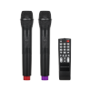 Kolumna aktywna ( z 2 mikrofonami bezprzewodowymi, SD, Bluetooth, USB) 15 120W