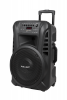 Kolumna aktywna ( z 2 mikrofonami bezprzewodowymi, SD, Bluetooth, USB) 12 40W