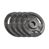 Obciążenie żeliwne zestaw 4x2.5kg, otwór 31mm, talerz z uchwytami, REBEL ACTIVE