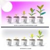 Żarówka do roślin LED PLANTY GS 11W E27 1200K Kobi Design