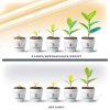 Lampa do roślin LED GROWLY 2x8,5W Kobi Design