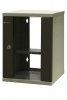 Szafa wisząca niedzielona 10'' 9U, drzwi blacha/szkło, 325×330x445mm (szer./gł./wys.) (w zestawie: półka stała oraz ko