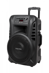 Aktywna kolumna głośnikowa (z 2 mikrofonami bezprzewodowymi UHF, SD, Bluetooth, FM, USB) 40 Watt