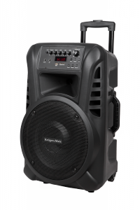 Aktywna kolumna głośnikowa (z 2 mikrofonami bezprzewodowymi UHF, SD, Bluetooth, FM, USB) 40 Watt