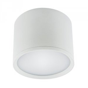 ROLEN LED 10W WHITE NW