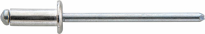 Nit 1-str.zam.CAP,al/stalleb plas.-okr. 6x25mm GESIPA  (200 szt.)