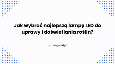 wZasieguReki