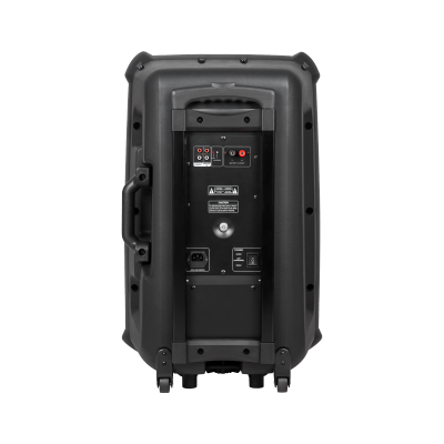 Kolumna aktywna ( z 2 mikrofonami bezprzewodowymi, SD, Bluetooth, USB) 15&quot; 120W