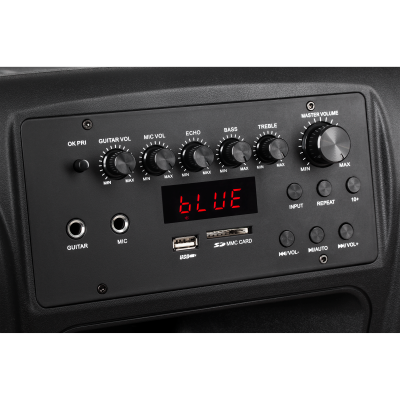 Kolumna aktywna ( z 2 mikrofonami bezprzewodowymi, SD, Bluetooth, USB) 15&quot; 120W