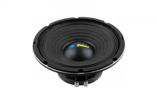 Głośnik 10&quot; DBS-PS1005-8