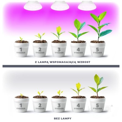 Żarówka do roślin LED PLANTY W 7W E27 1200K biała Kobi Design