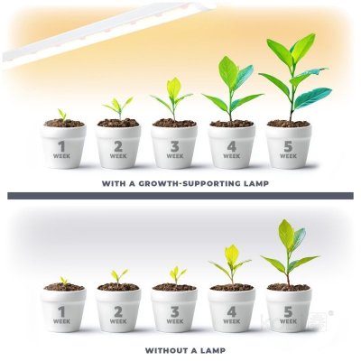 Lampa do roślin LED GROWLY 9W Kobi Design