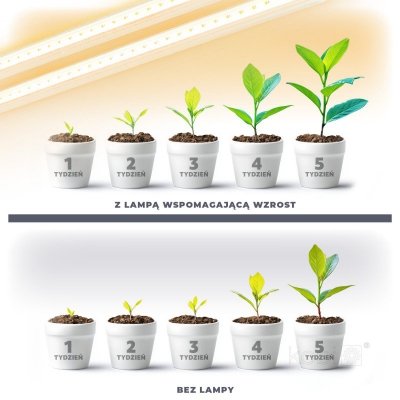 Lampa do roślin LED GROWLY 2x8,5W Kobi Design