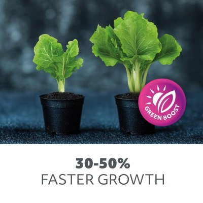 Żarówka do roślin LED PLANTY 24W E27 1200K Kobi design