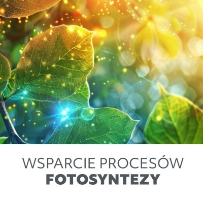Lampa do roślin LED VITARO 4 ST 30W Kobi Design