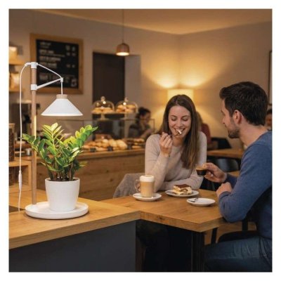 Lampa LED GROW do uprawy roślin 7 W, timer, biała