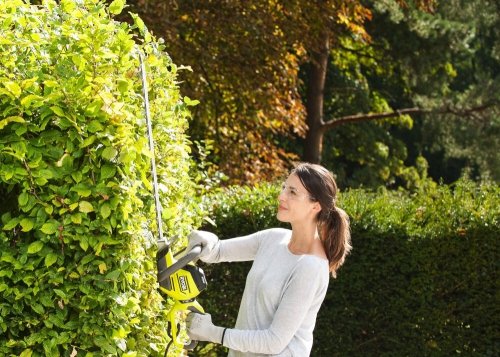 Nożyce elektryczne do żywopłotu RHT5655RS Ryobi