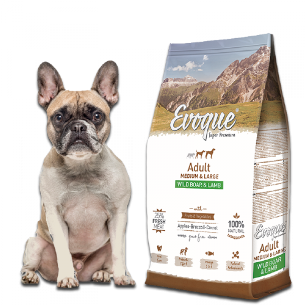 Evoque Adult Dziczyzna z jagnięciną Medium&amp;Large Super Premium 12kg