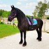 Czaprak Horsenjoy Rainbow Pastel wszechstronny Full