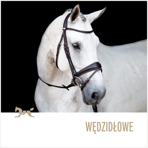 Ogłowia wędzidłowe