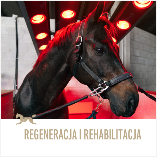 REGENERACJA I REHABILITACJA
