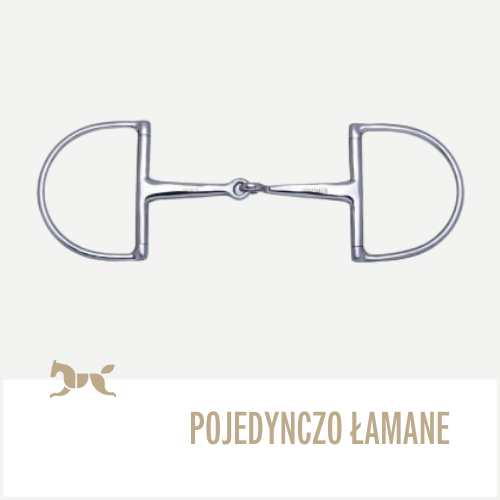 Pojedynczo łamane