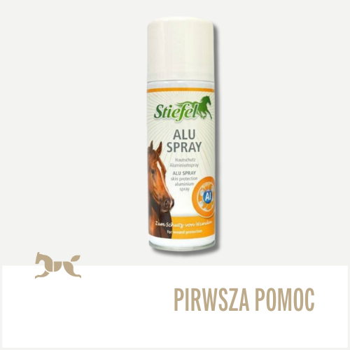 Pierwsza pomoc