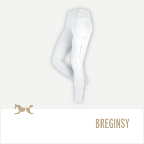 BREGINSY