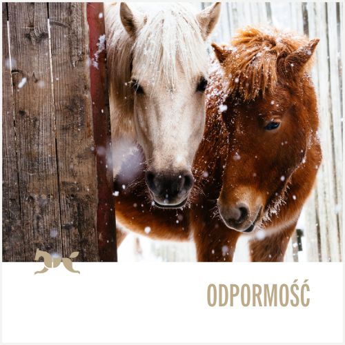 Odporność