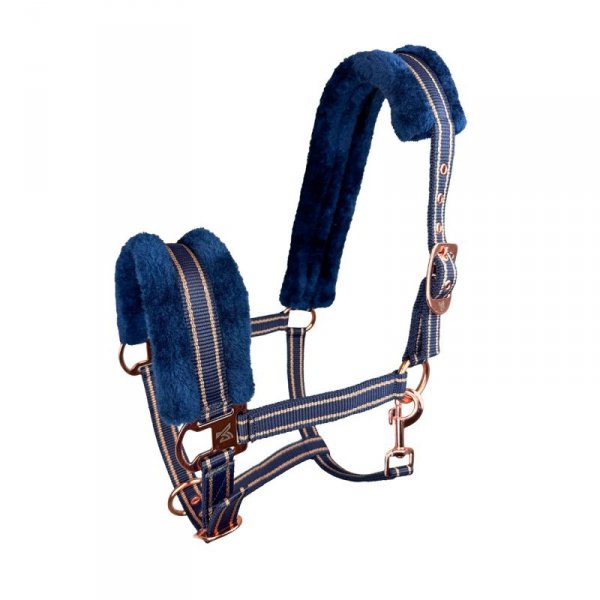 Kantar York Gold Star