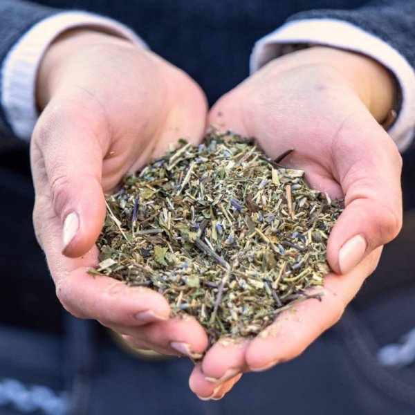 Nerves Herbs Stiefel uspok. mieszanka 6 ziół