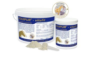 VERTRIPHARM Equipur Vitafit - Witamina C 1kg