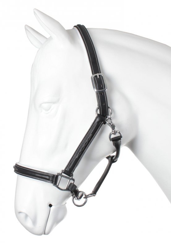 HALTER LEATHER