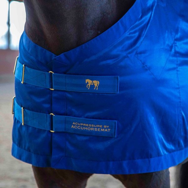Derka terapeutyczna do akupresury - Accuhorsemat Original