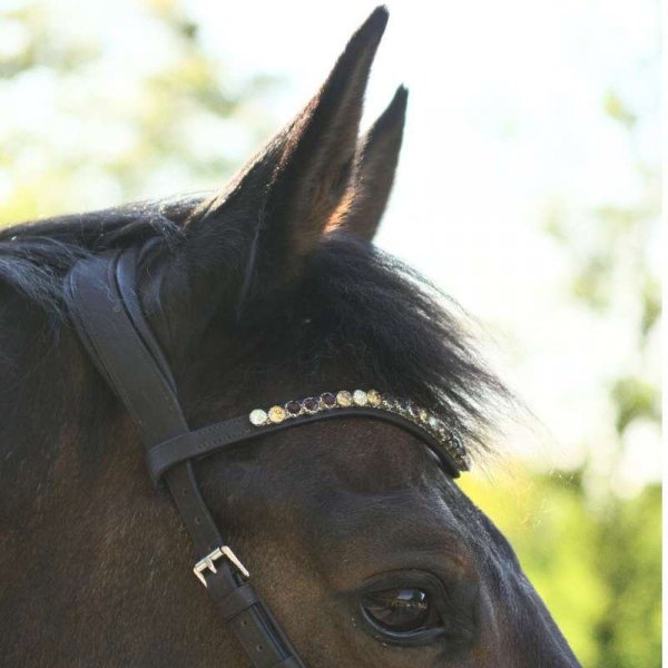 Ogłowie Bezwędzidłowe Kavalkade LIGHT - czarne