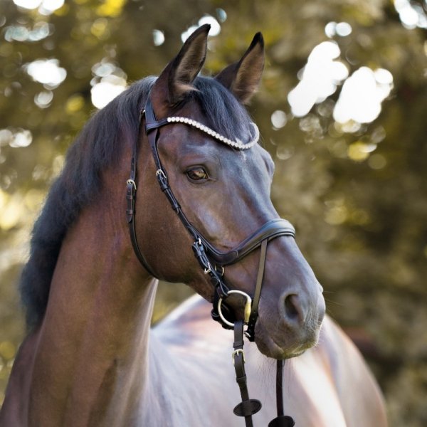 Ogłowie Anatomiczne Kavalkade CALLA - KavalSH4 - czarne