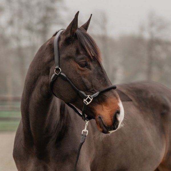 Kantar skórzano-sznurkowy z uwiązem - HORKA - czarny / czarny