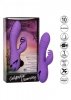 West Coast Wave Rider Purple