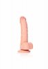 Curved Realistic Dildo  Balls  Suction Cup - 6/ 15,5 cm