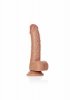 Curved Realistic Dildo  Balls  Suction Cup - 6/ 15,5 cm