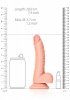 Curved Realistic Dildo  Balls  Suction Cup - 7/ 18 cm