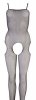 Net Catsuit S/M