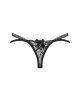 Blomentis stringi  M/L